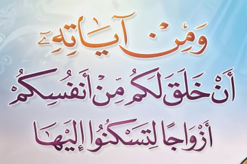 صور المدونة